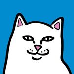 Ripndip Clothing Coupon Codes