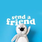 Send A Friend Coupon Codes