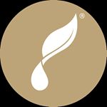 Young Living Coupon Codes