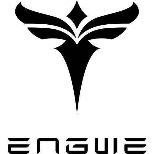 Engwe Coupon Codes